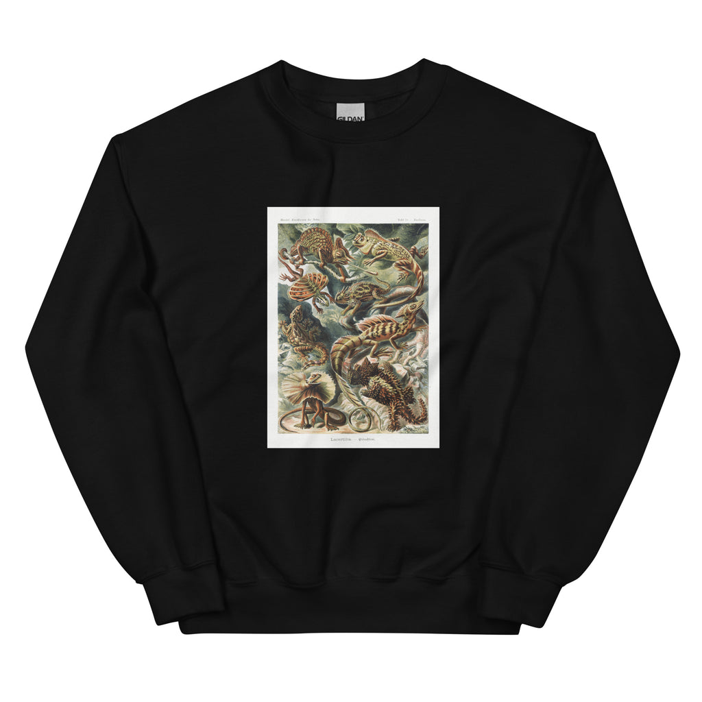 Black Sweater Lacertilia Eidechlen Essential