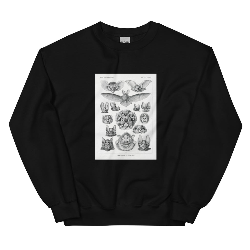 Black Sweater Chiroptera Fledertiere Essential
