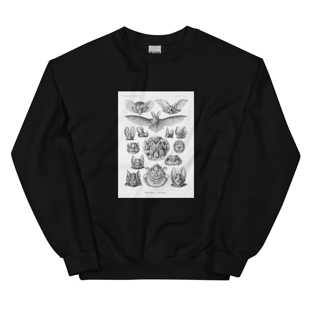 Black Sweater Chiroptera Fledertiere Essential