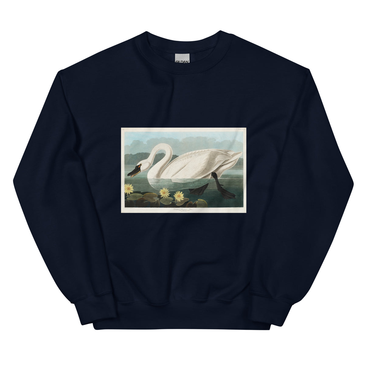 Navy Sweater Common American Swan - John James Audubon 1827 Essential