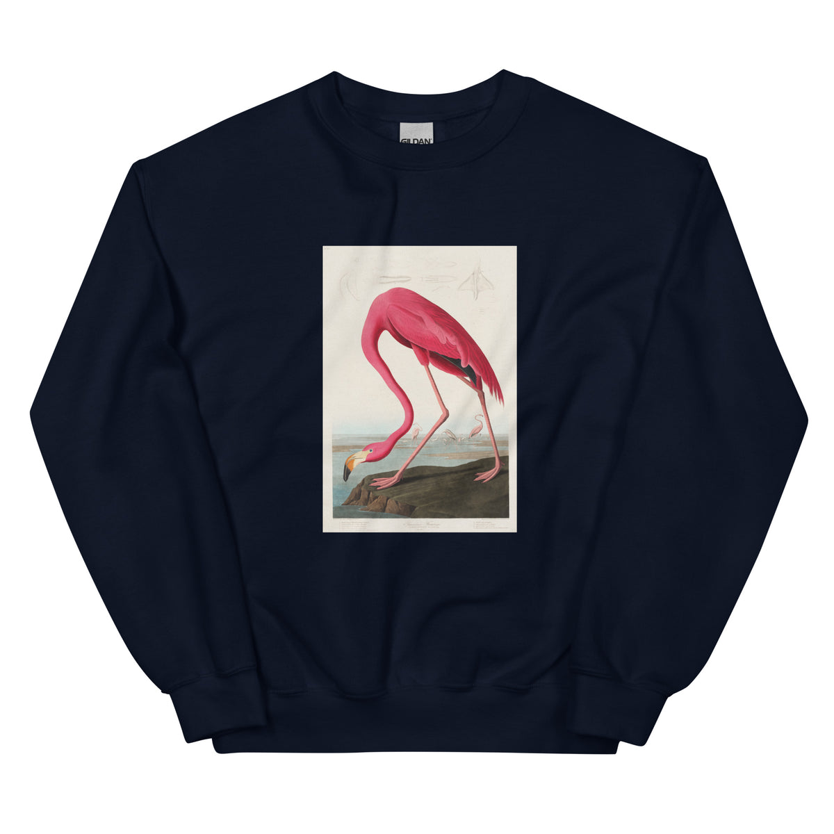 Navy Sweater Pink Flamingo - John James Audubon 1827 Essential