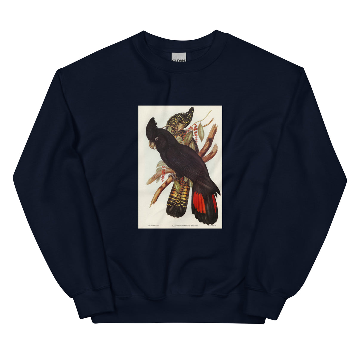 Navy Sweater Banksian Cockatoo Calyptorhynchus Banksii Illustrated - Elizabeth Gould 1804 Essential