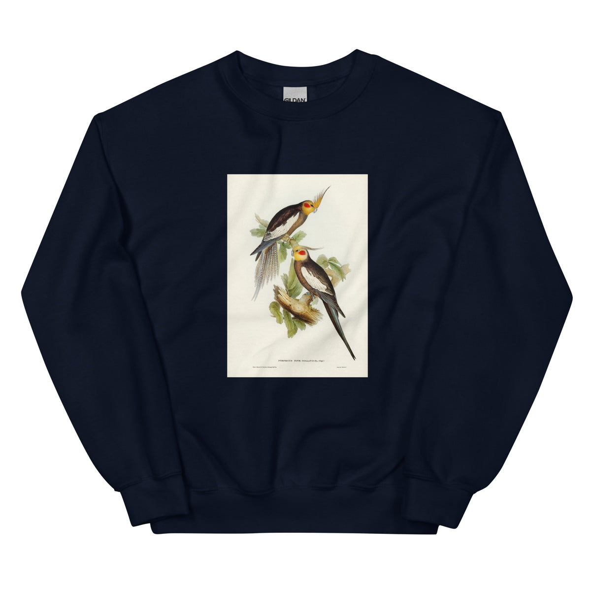 Navy Sweater Cockatoo Parakeet Nymphicus Novae Hollandiae Illustrated - Elizabeth Gould 1804 Essential