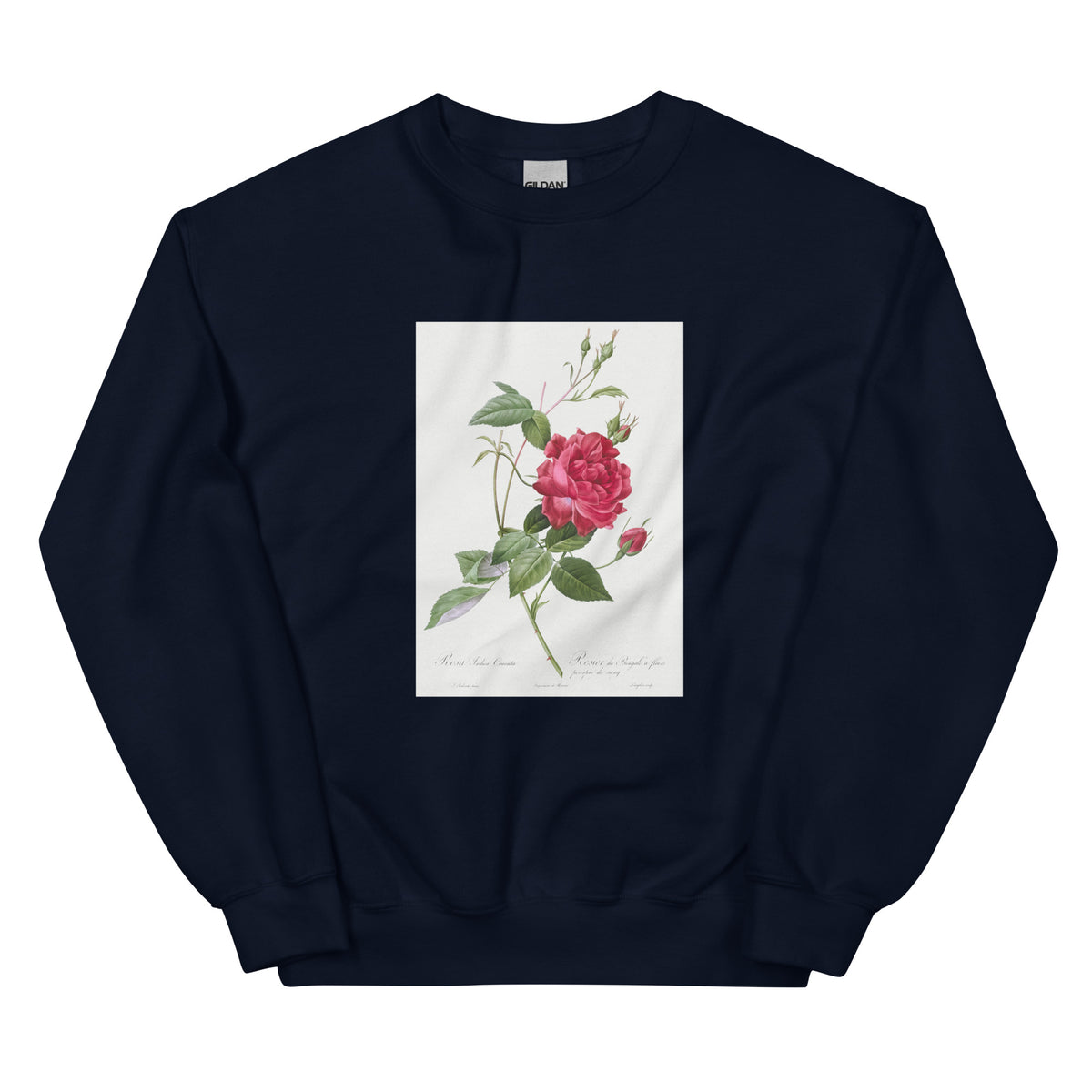 Navy Sweater Blood-Red Bengal Rose Rosa Indica Cruneta Essential