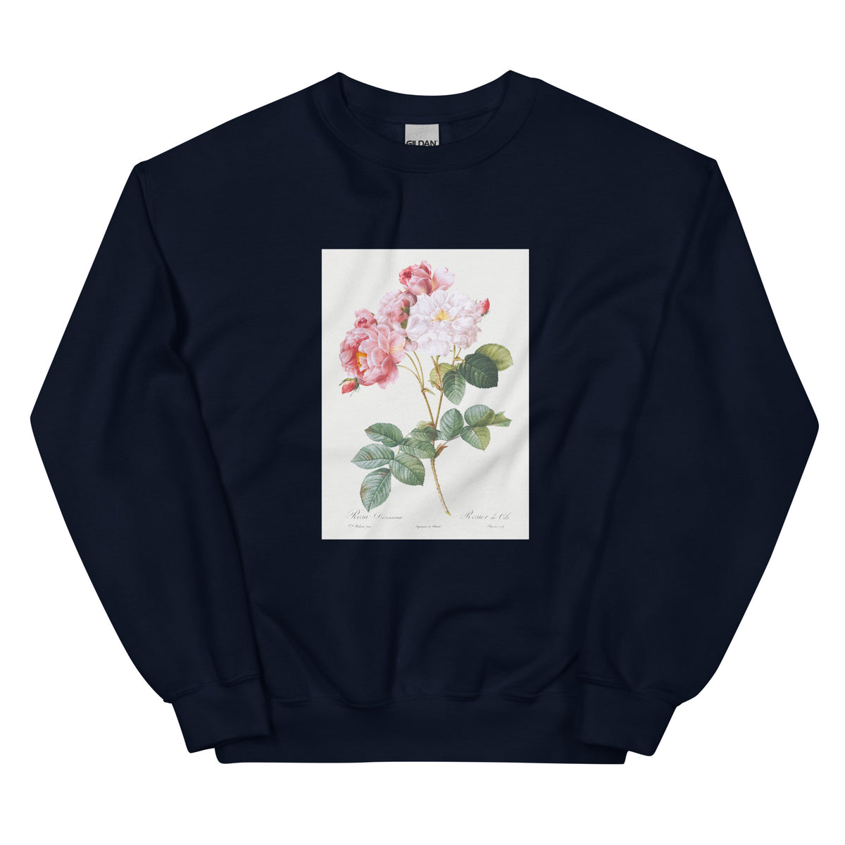 Navy Sweater Rosa Damascena Rosebush Rosa Damascena Essential
