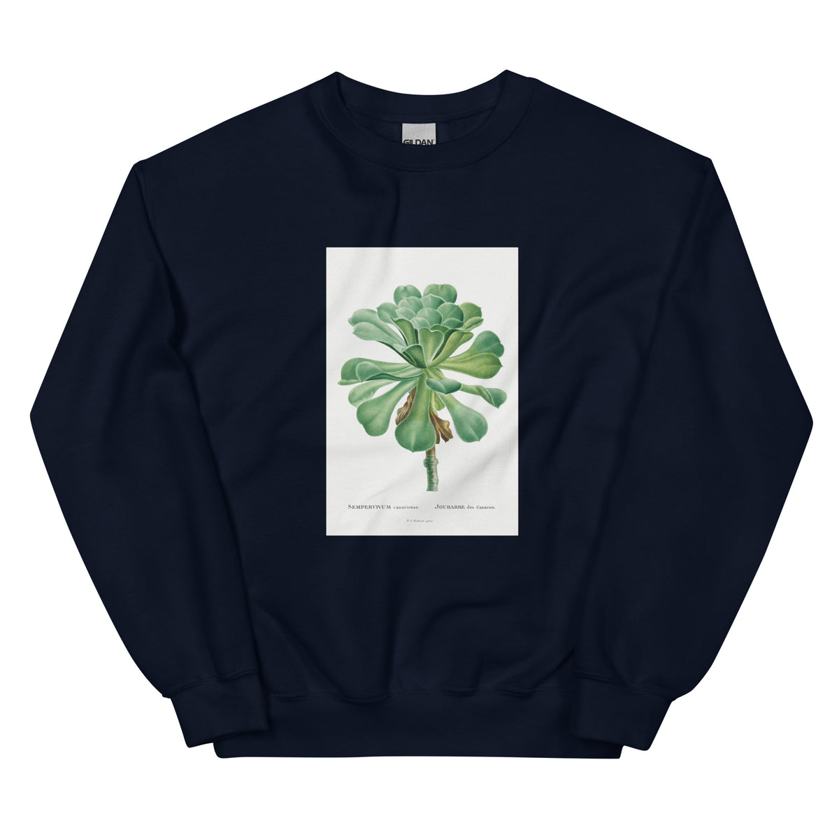 Navy Sweater Sempervivum Canariense Image Essential