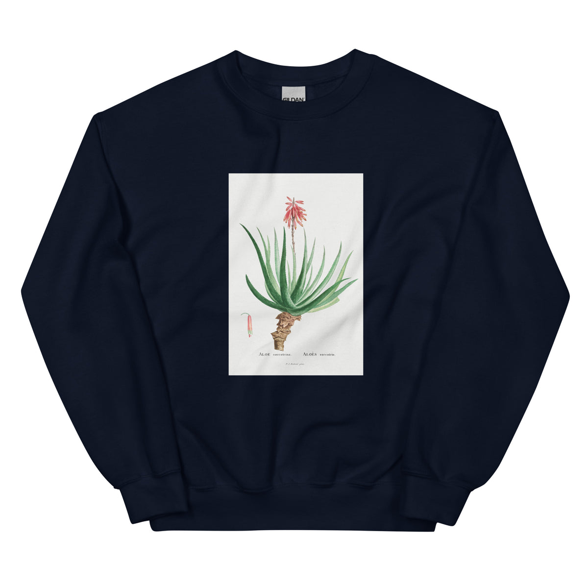 Navy Sweater Aloe Socotrina Image Essential