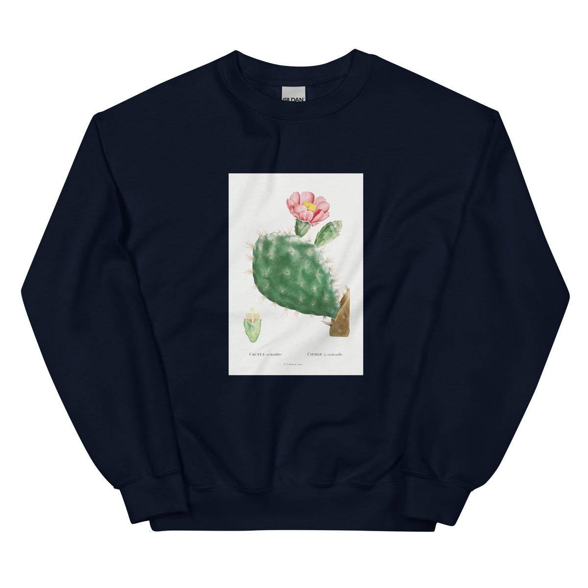 Navy Sweater Cactus Cochenillifer Image Essential