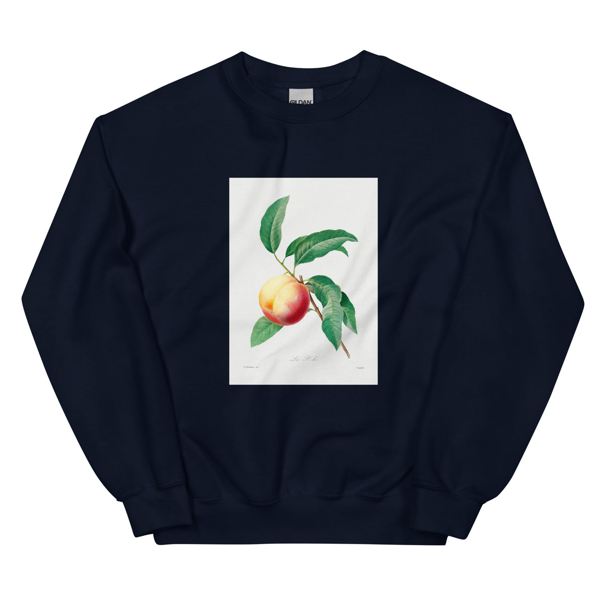 Navy Sweater Peach Fruit On A Branch - Pierre-Joseph Redoute 1759 Essential