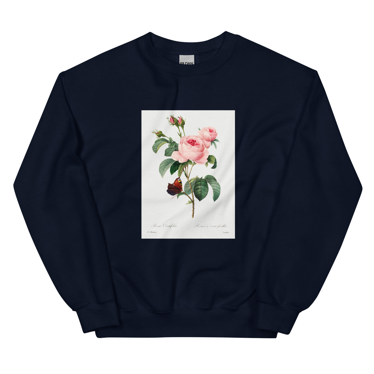 Navy Sweater Cabbage Rose - Pierre-Joseph Redoute 1759 Essential