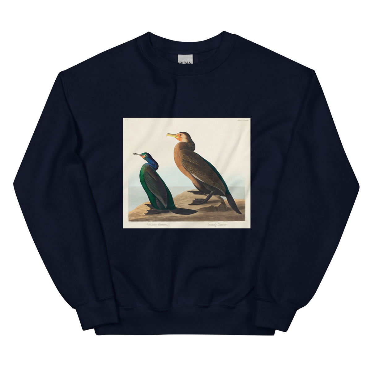Navy Sweater Violet-Green Cormorant And Townsend S Cormorant - John James Audubon 1827 Essential