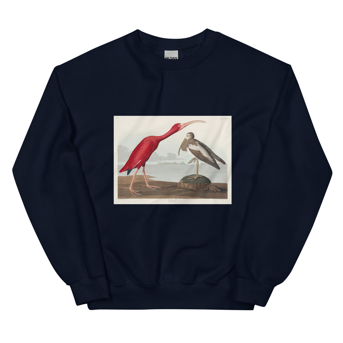 Navy Sweater Scarlet Ibis - John James Audubon 1827 Essential