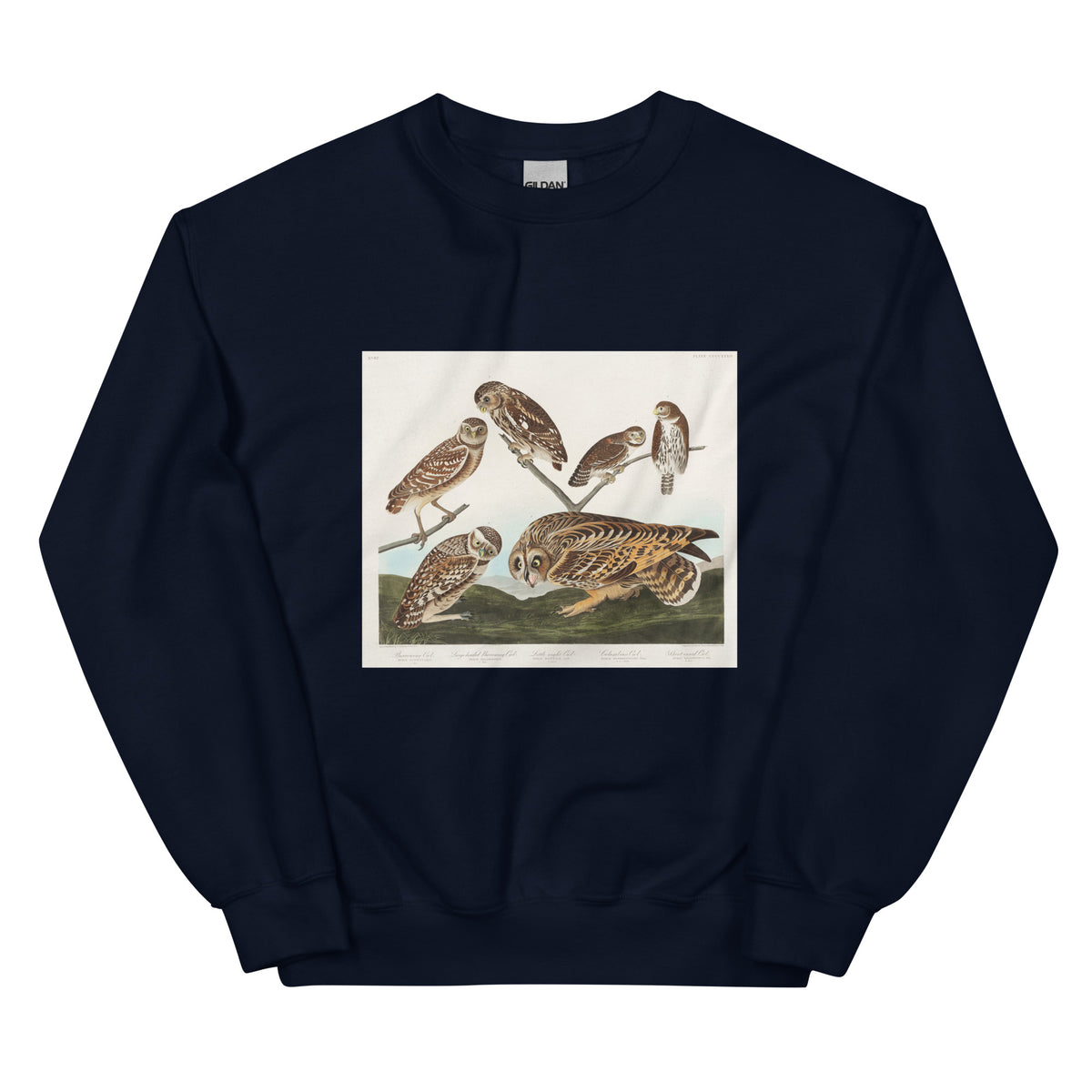 Navy Sweater Burrowing Owl Large-Headed Burrowing Owl Little Night Owl Columbian Owl And Short-Cared Owl - John James Audubon 1827 Essential