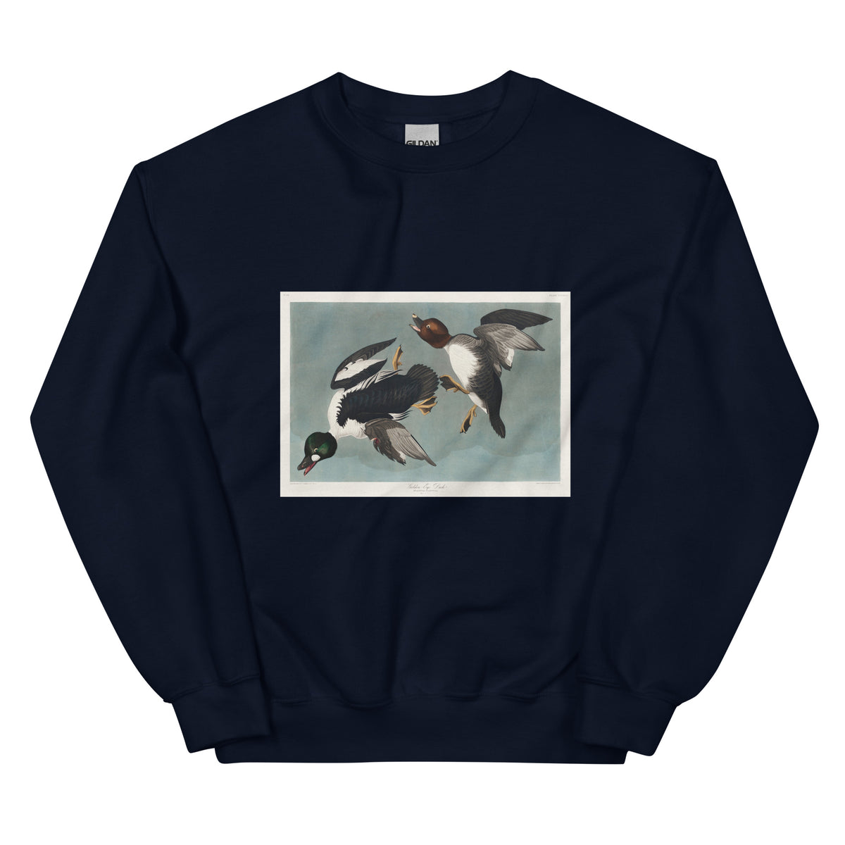 Navy Sweater Golden-Eye Duck Essential