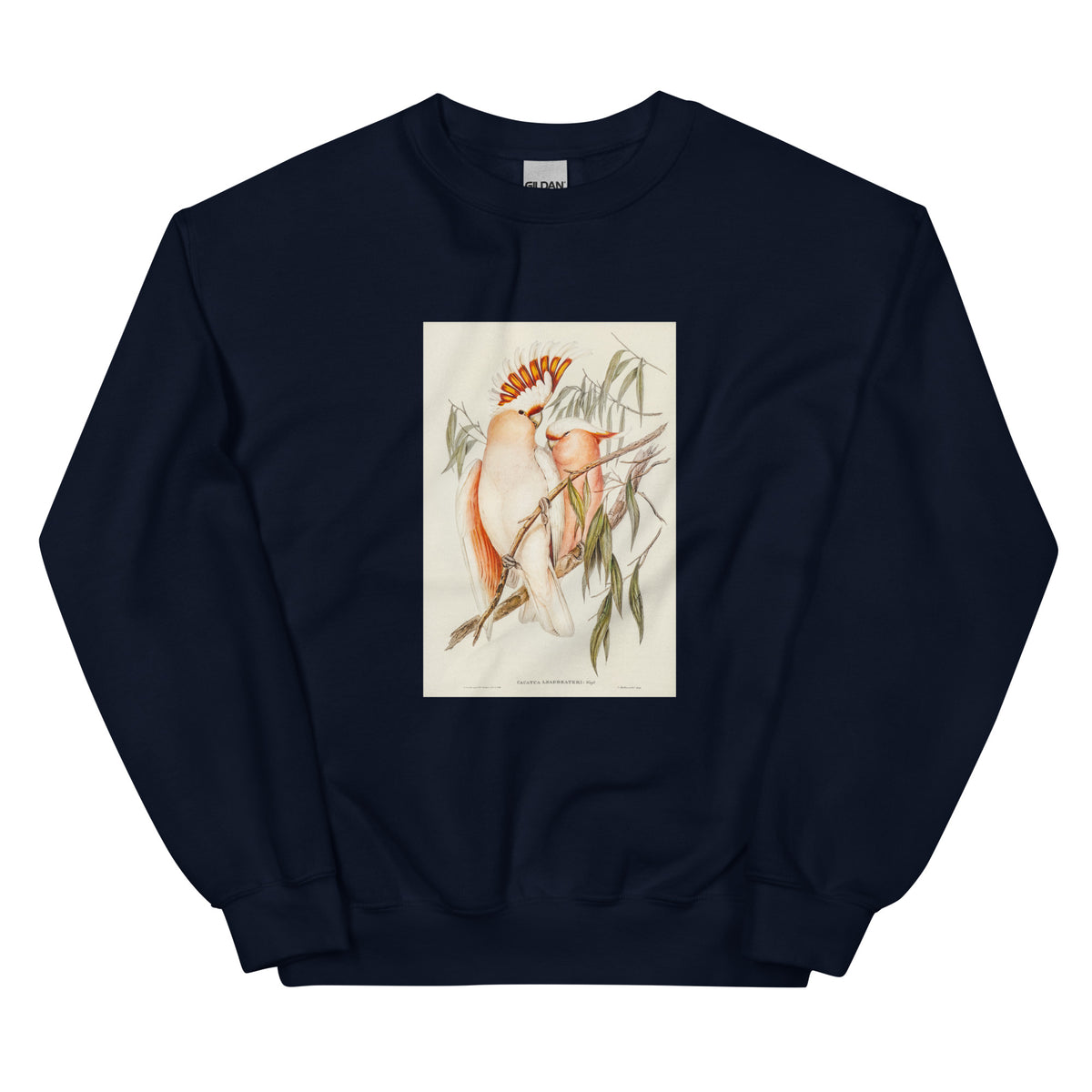 Navy Sweater Leadbeater S Cockatoo Cacatua Leadbeaterii Illustrated - Elizabeth Gould 1804 Essential