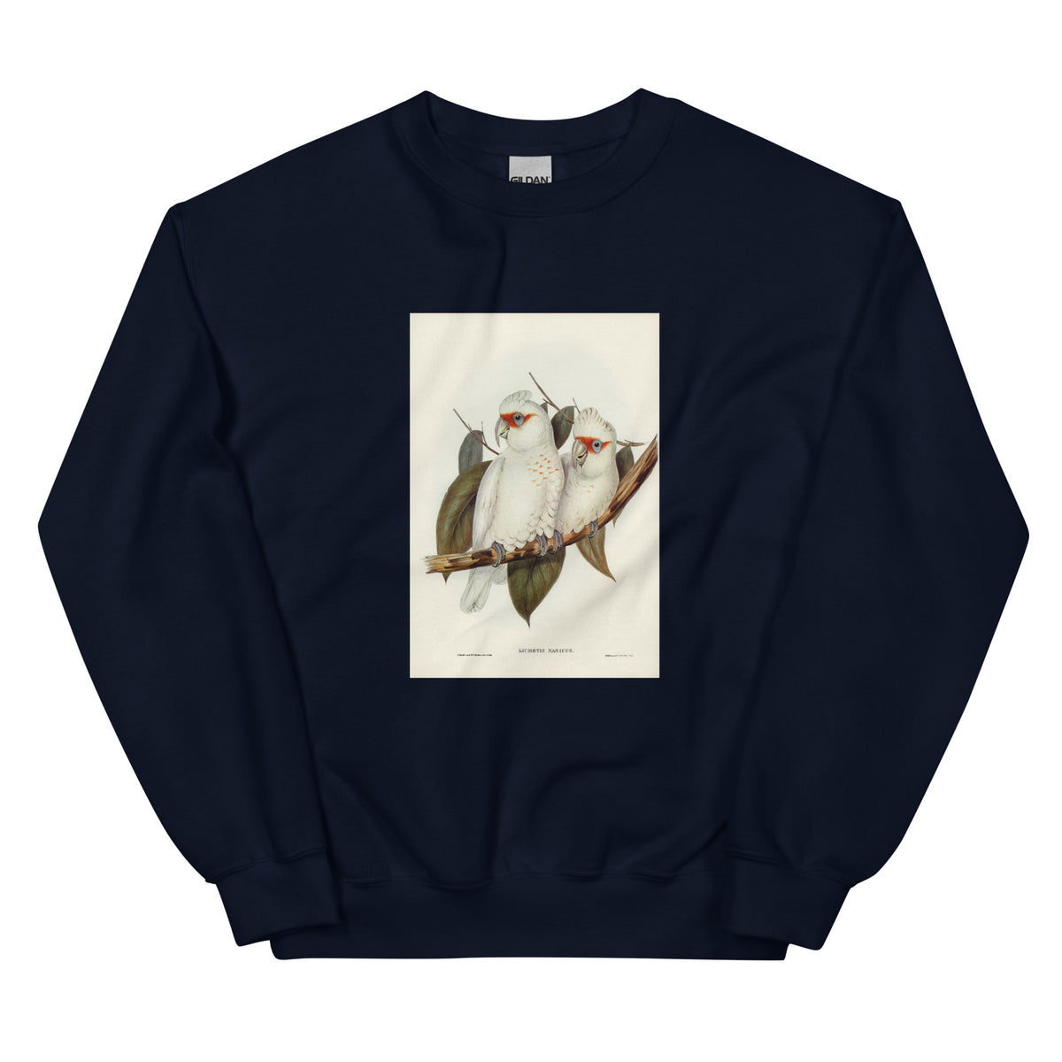 Navy Sweater Long-Billed Cockatoo Licmetis Nasicus Illustrated - Elizabeth Gould 1804 Essential