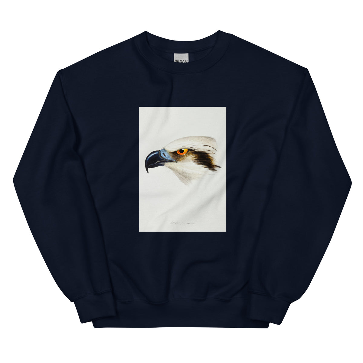 Navy Sweater White-Headed Osprey Pandion Leucocephalus Illustrated Essential