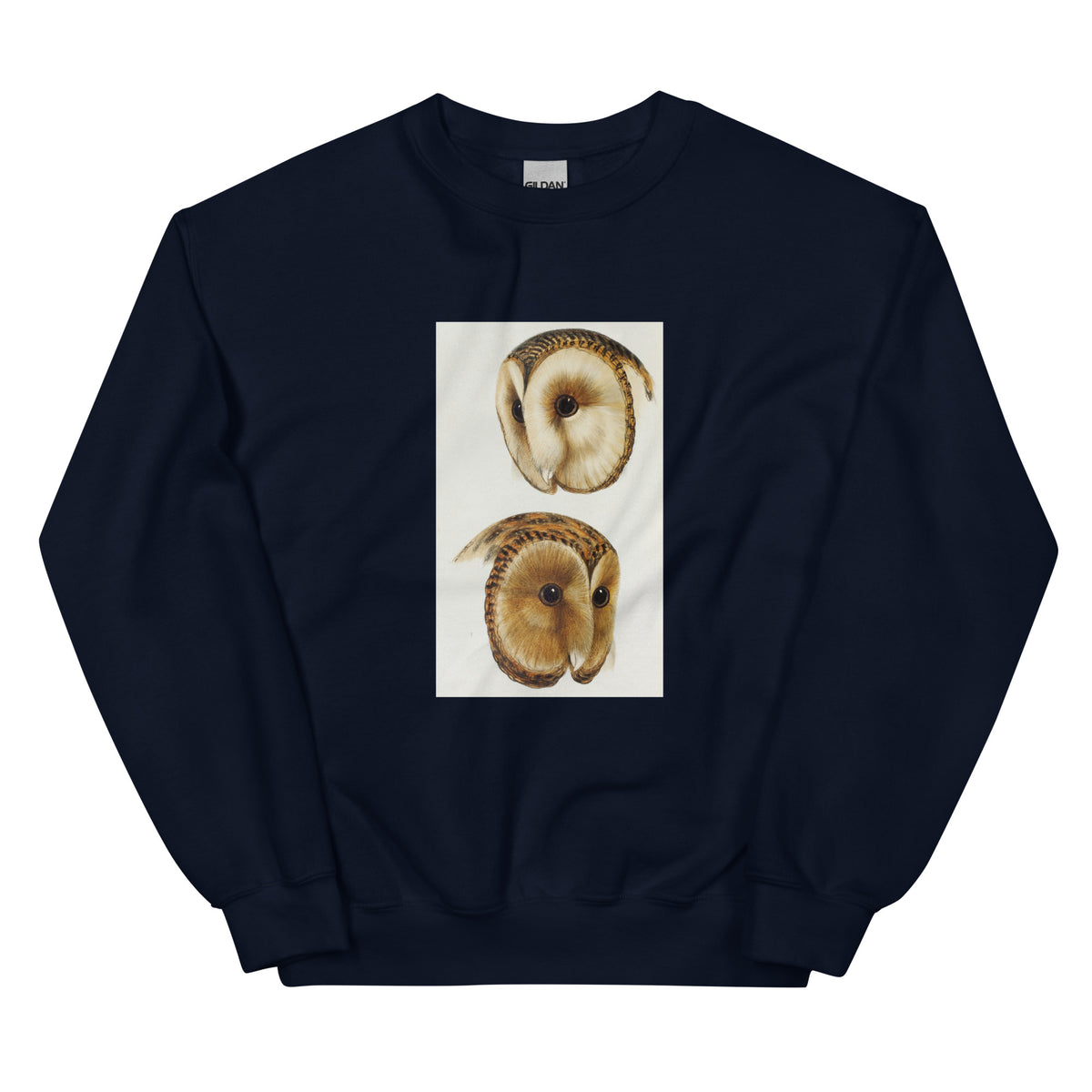 Navy Sweater 1 Masked Barn Owl Strix Personata 2 Tasmanian Masked Owl Strix Castanops Illustrated Essential