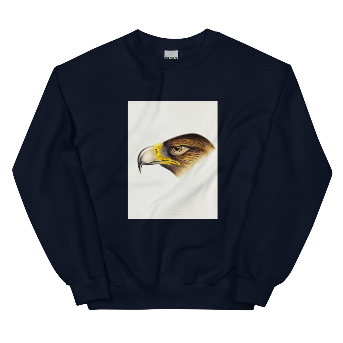 Navy Sweater Wedge-Tailed Eagle Aquila Fucosa Illustrated Essential