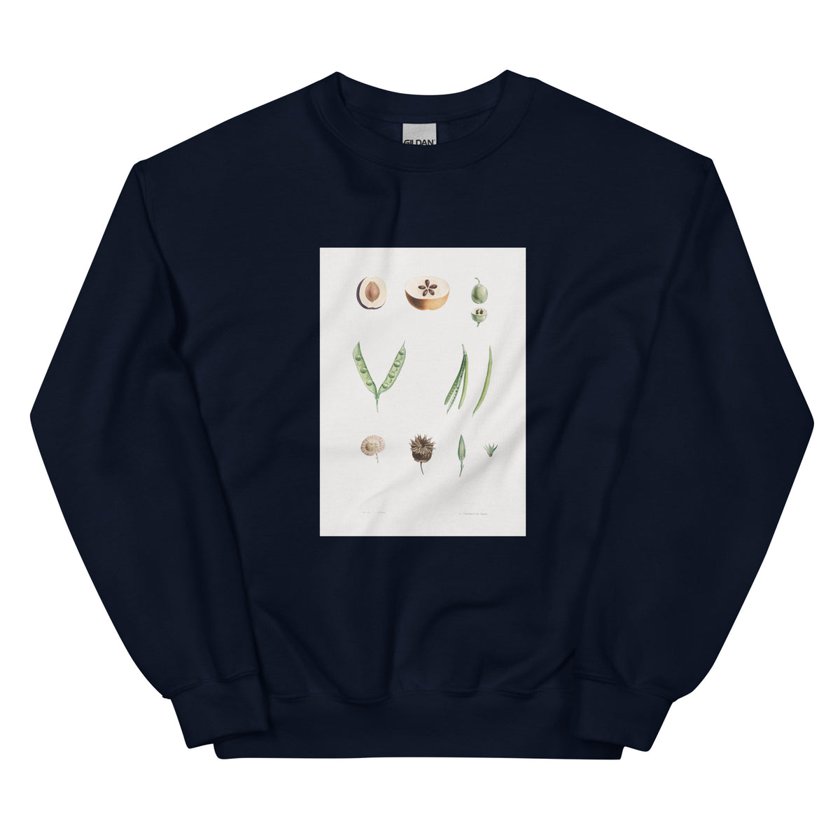 Navy Sweater Plants Part - Pierre-Joseph Redoute 1759 Essential