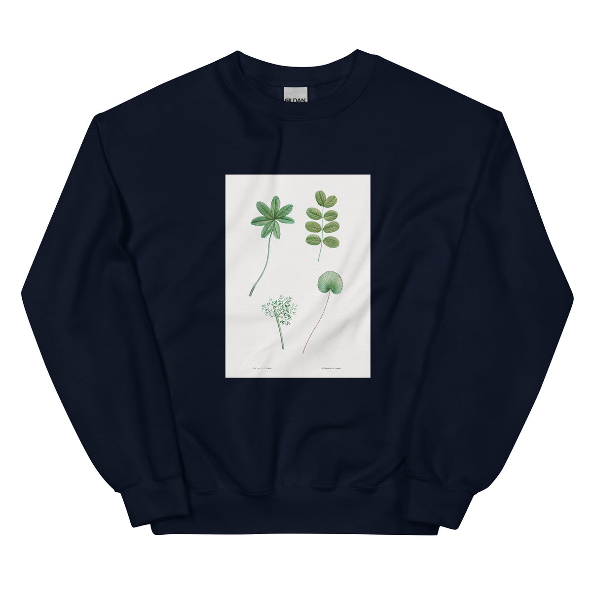 Navy Sweater Tree Leaf Set - Pierre-Joseph Redoute 1759 Essential