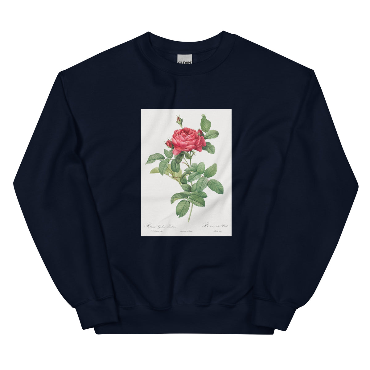 Navy Sweater Rosa Gallica Pontiana Also Known As Bridge Rose Essential