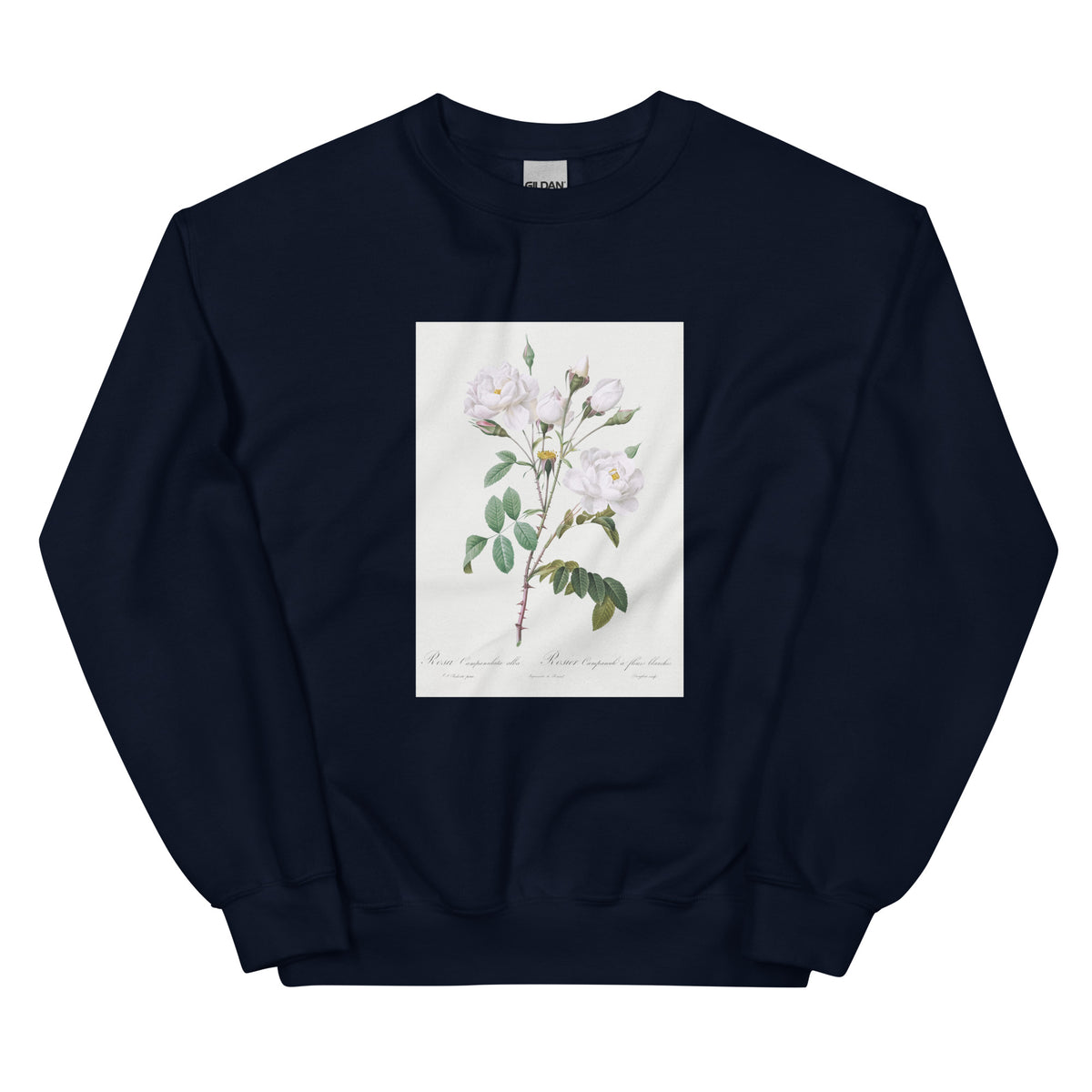 Navy Sweater Rosa Campanulata Alba Also Known As Pink Bellflowers To White Flowers Essential