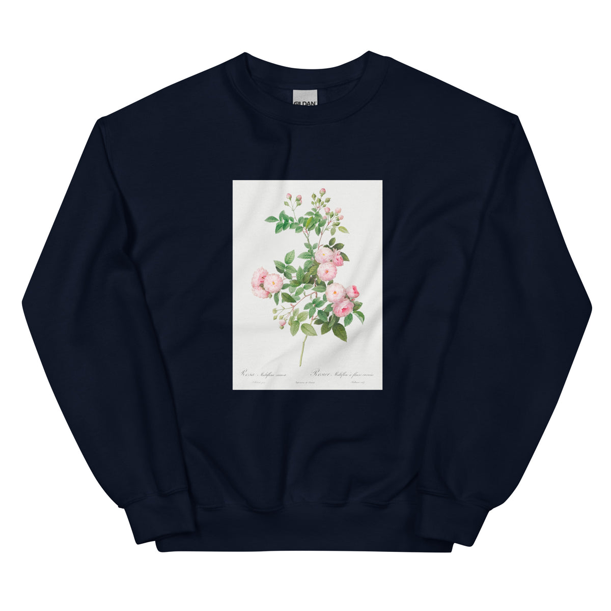 Navy Sweater Flesh-Pink Multiflora Rosa Multiflora Carnea Essential