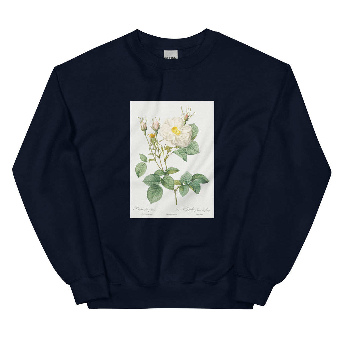 Navy Sweater Rosa X Alba Also Known As The White Leaf Of Fleury Rosa Alba Foliacea Essential