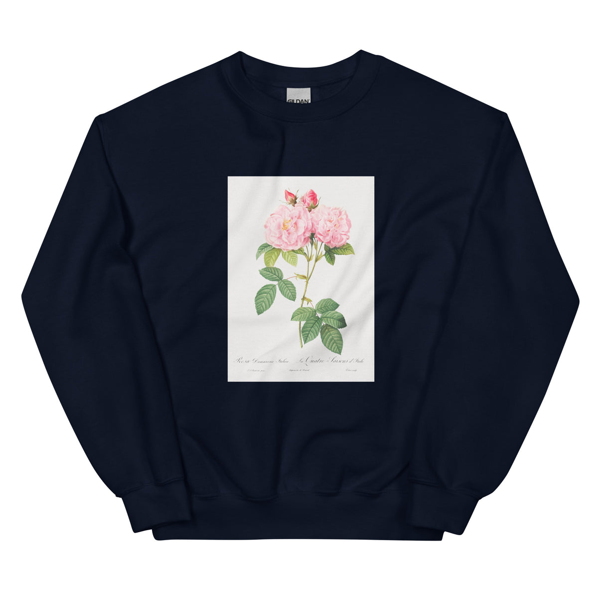 Navy Sweater Italian Damask Rose Also Known As The Four Seasons Of Italy Rosa Damascena Italica Essential
