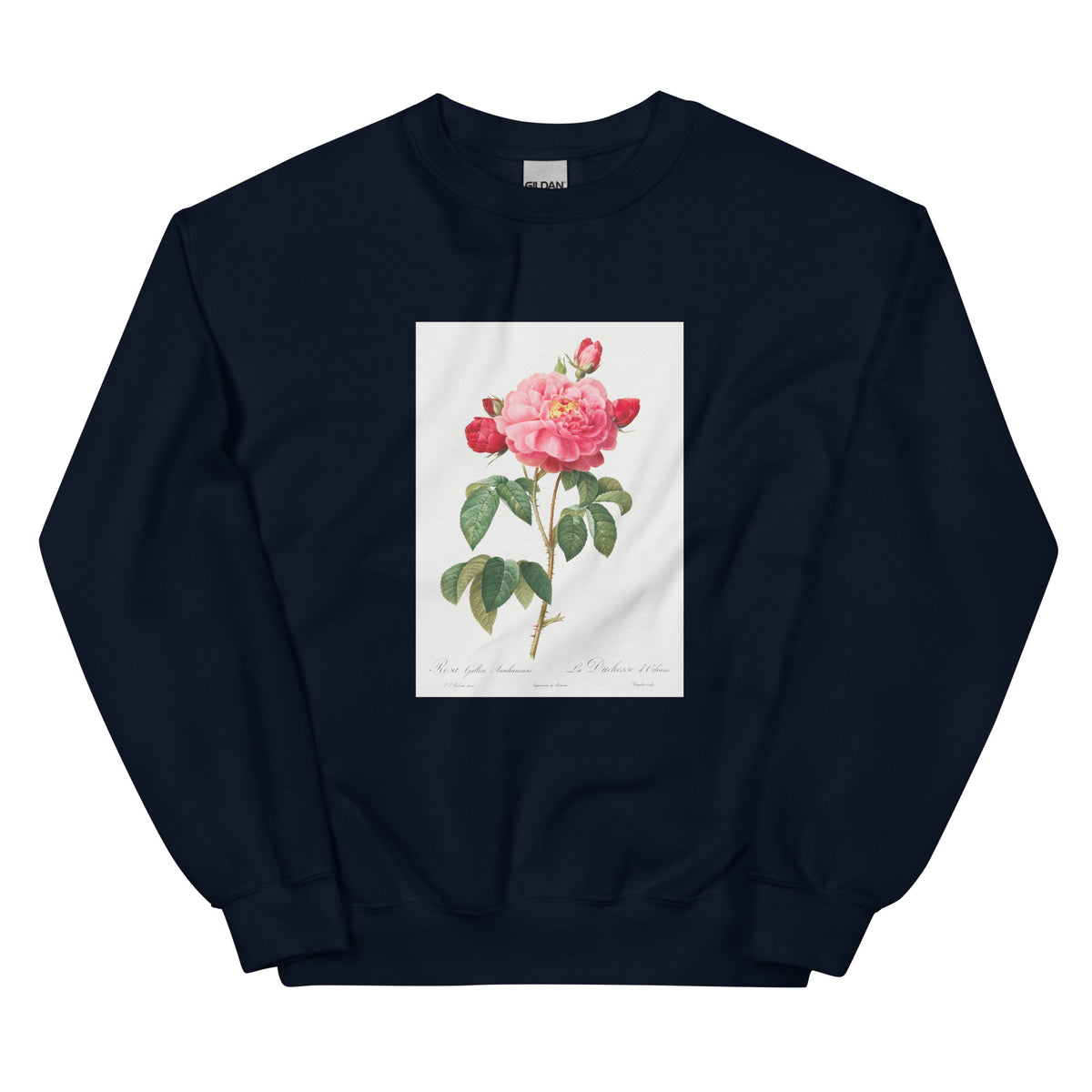 Navy Sweater Gallic Rose Also Known As The Duchess Of Orleans Rosa Gallica Aurelianensis Essential