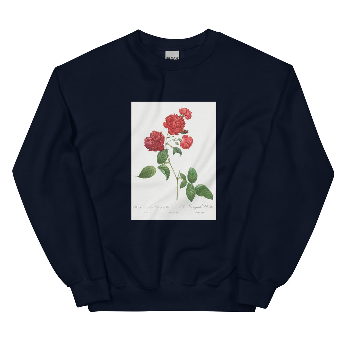Navy Sweater Red Cabbage Rose Also Known As Bengal Eyelet Rosa Indica Caryophyllea - Pierre-Joseph Redoute Original From The Library Of Congress 1817 Essential