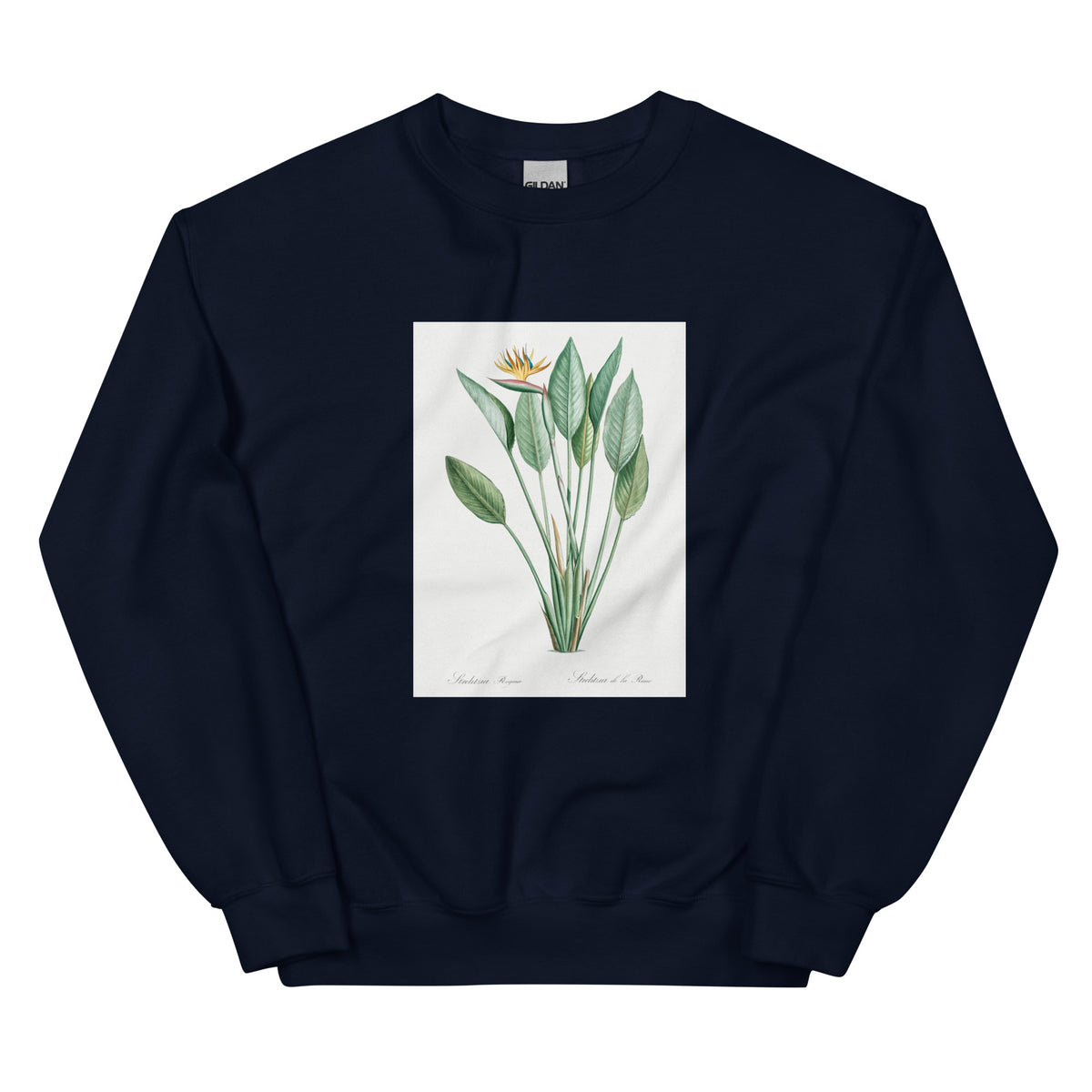 Navy Sweater Bird Of Paradise Illustration II Essential