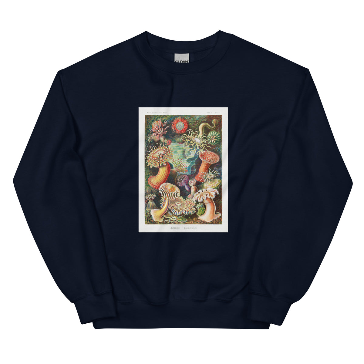Navy Sweater Actiniae Seeanemonen Essential