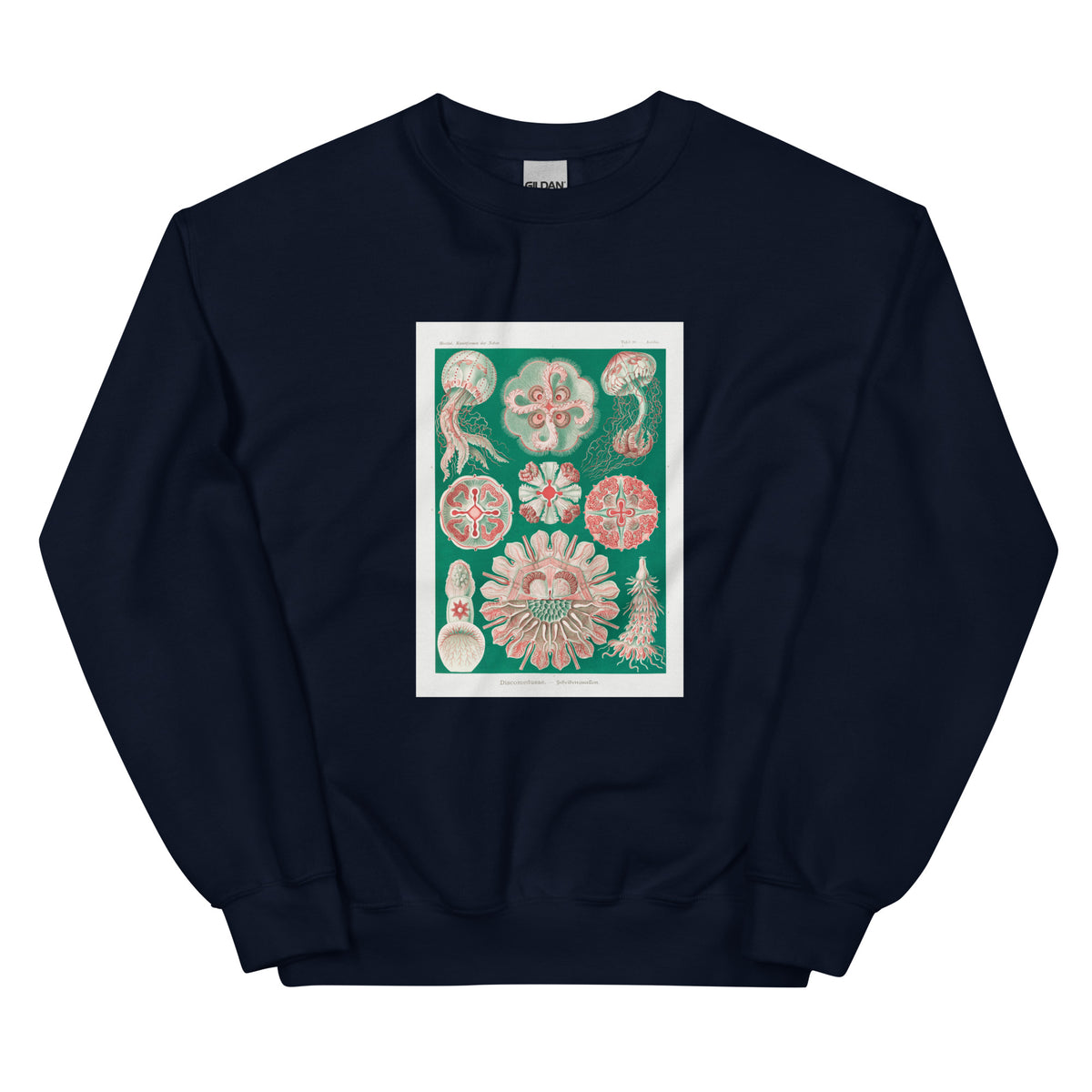 Navy Sweater Discomedusae Schweibenquallen Essential