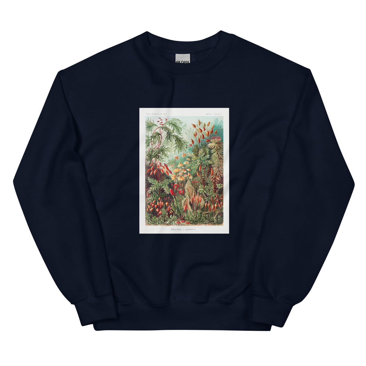Navy Sweater Muscinae Laubmoose A Giltsch Gem Essential