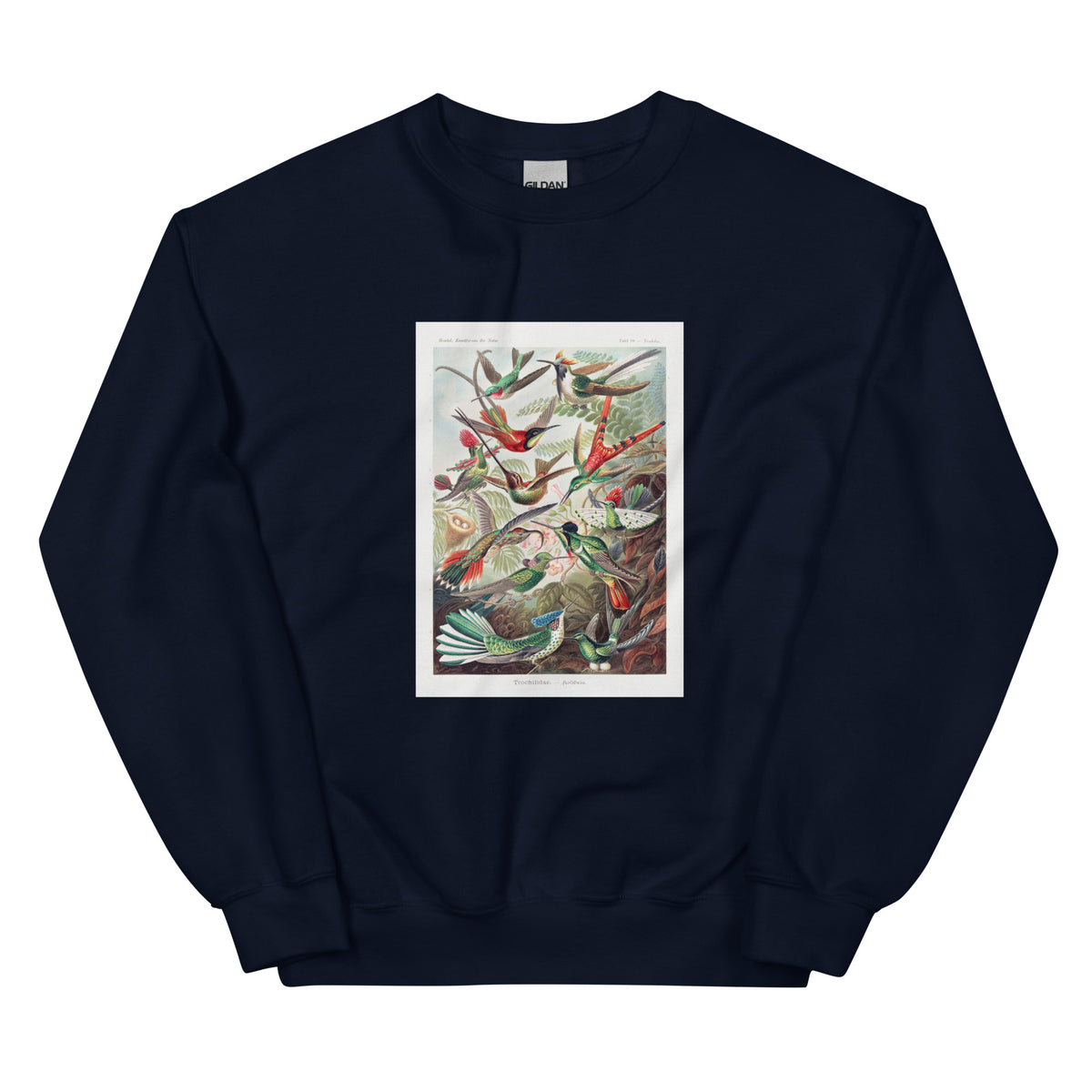 Navy Sweater Trochilidae Kolibris Essential