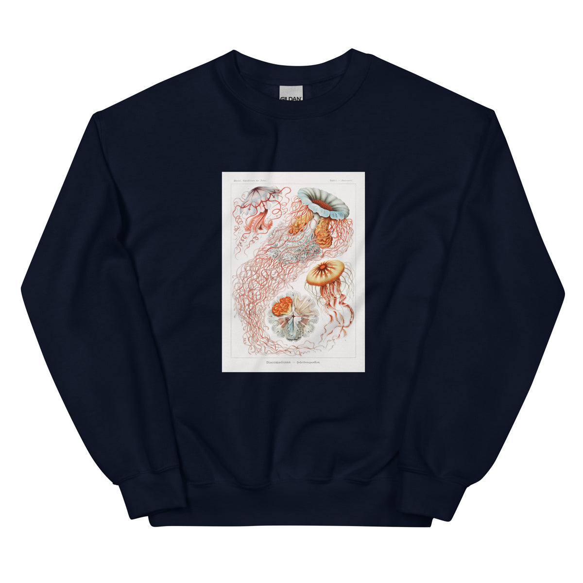 Navy Sweater Discomedusae Scheibenquallen Essential