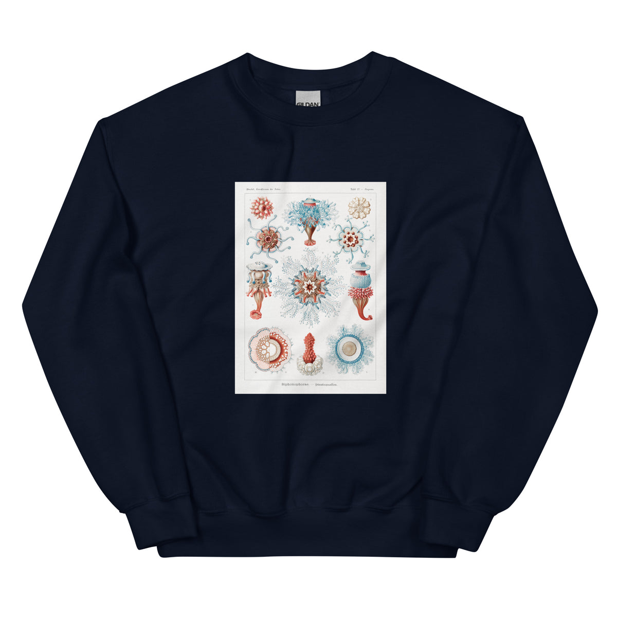 Navy Sweater Siphonophorae Staatsquallen Essential