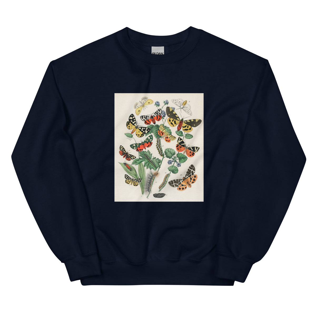 Navy Sweater Illustrations - William Forsell Kirby 1882 Essential