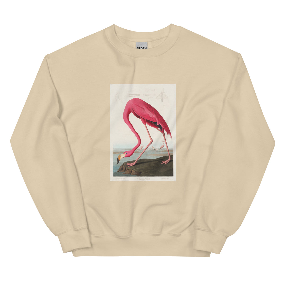 Sand Sweater Pink Flamingo - John James Audubon 1827 Essential