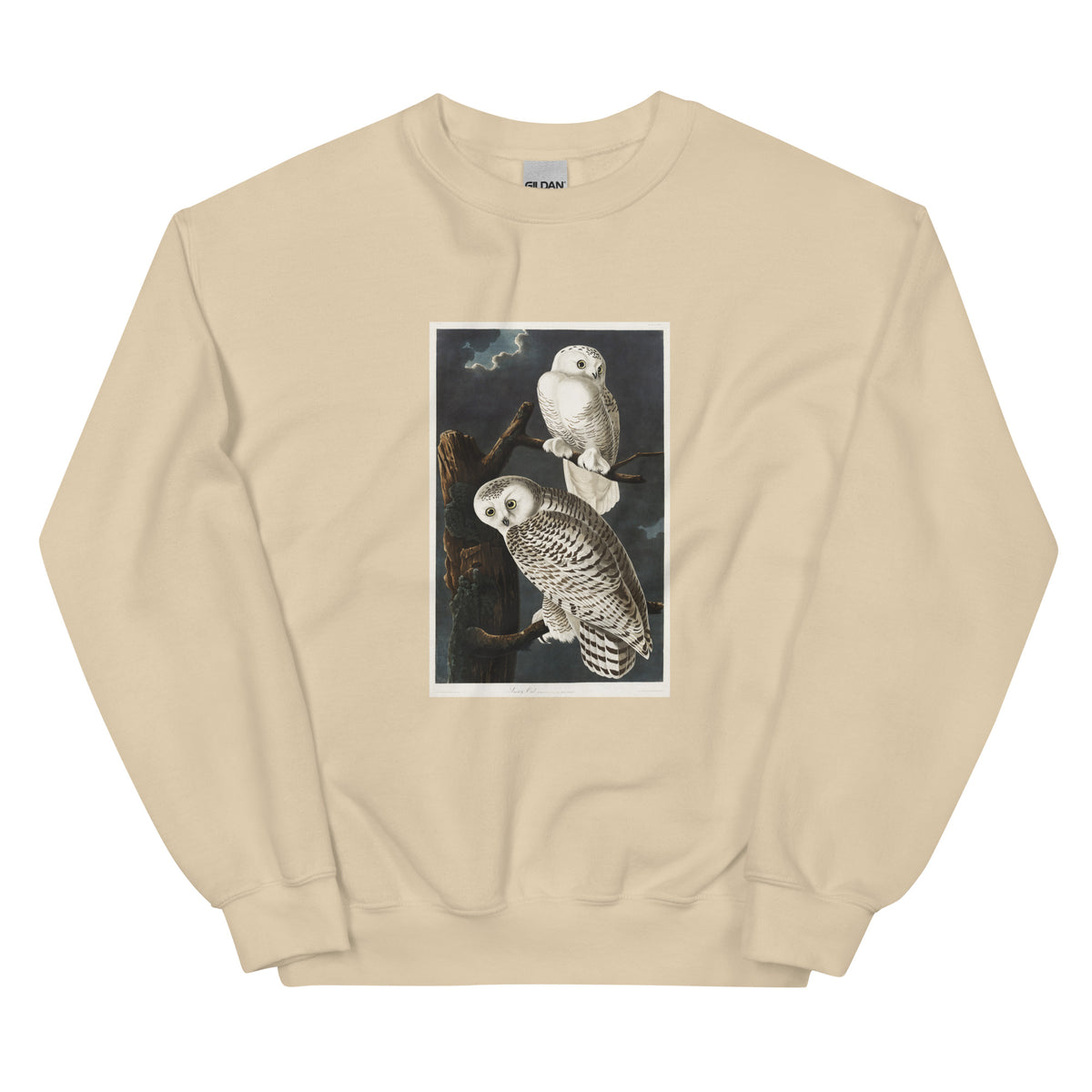 Sand Sweater Snowy Owl Essential