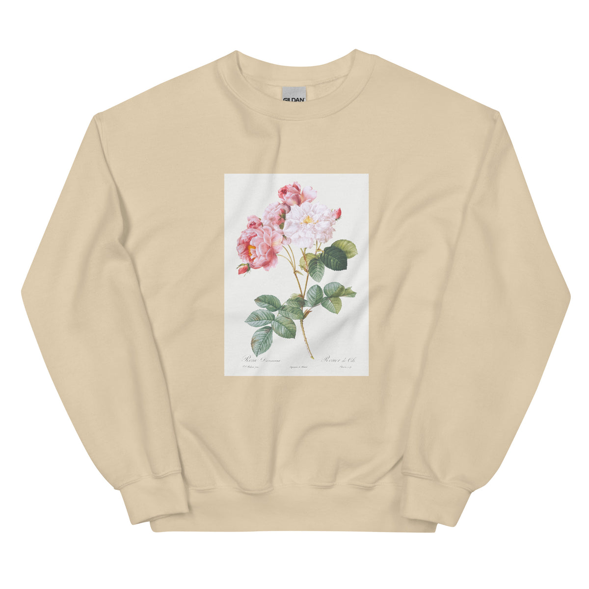 Sand Sweater Rosa Damascena Rosebush Rosa Damascena Essential