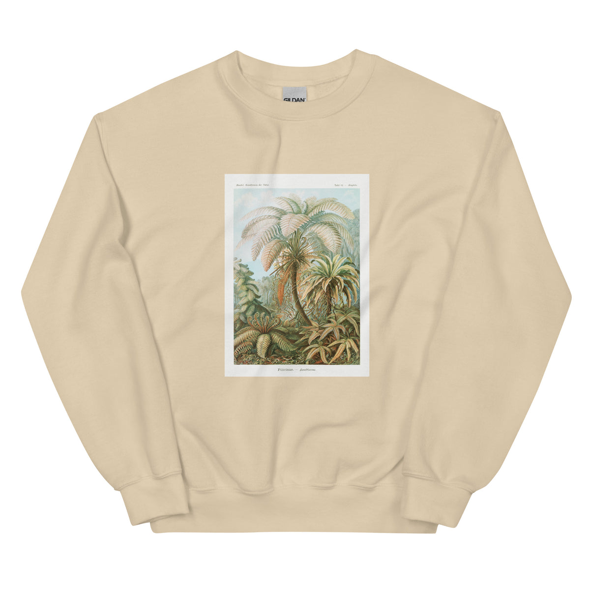 Sand Sweater Filicinae Laubfarne Essential