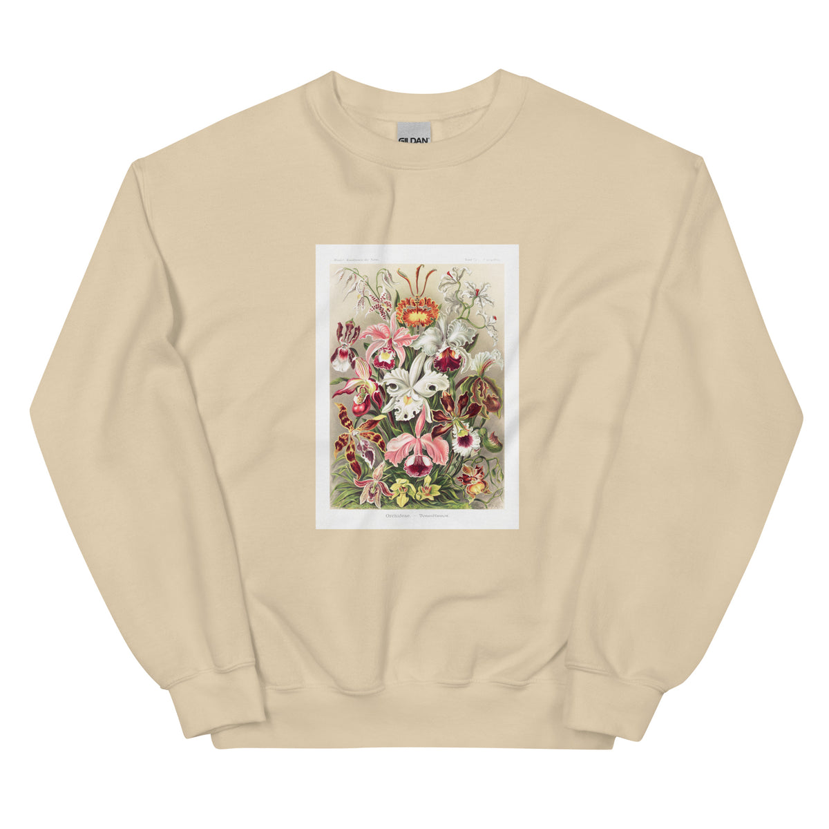 Sand Sweater Orchideae Denusblumen A Giltsch Gem Essential
