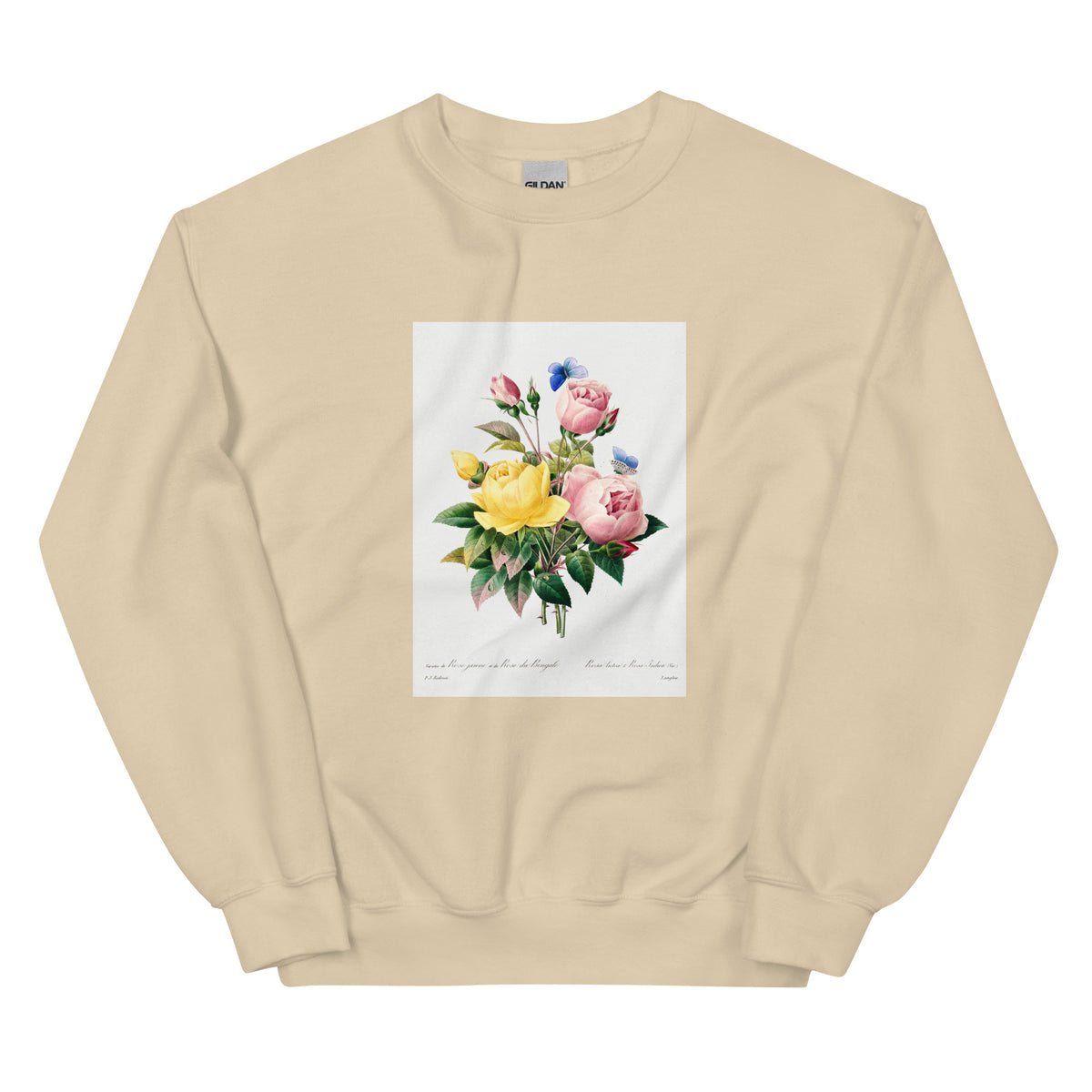 Sand Sweater Yellow Rose And Cabbage Rose - Pierre-Joseph Redoute 1759 Essential