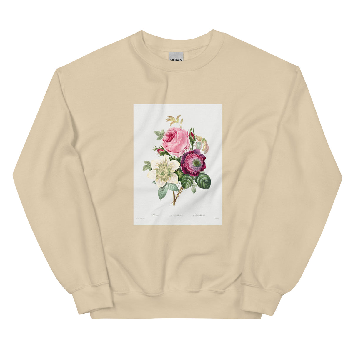 Sand Sweater Anemone And Cabbage Rose - Pierre-Joseph Redoute 1759 Essential