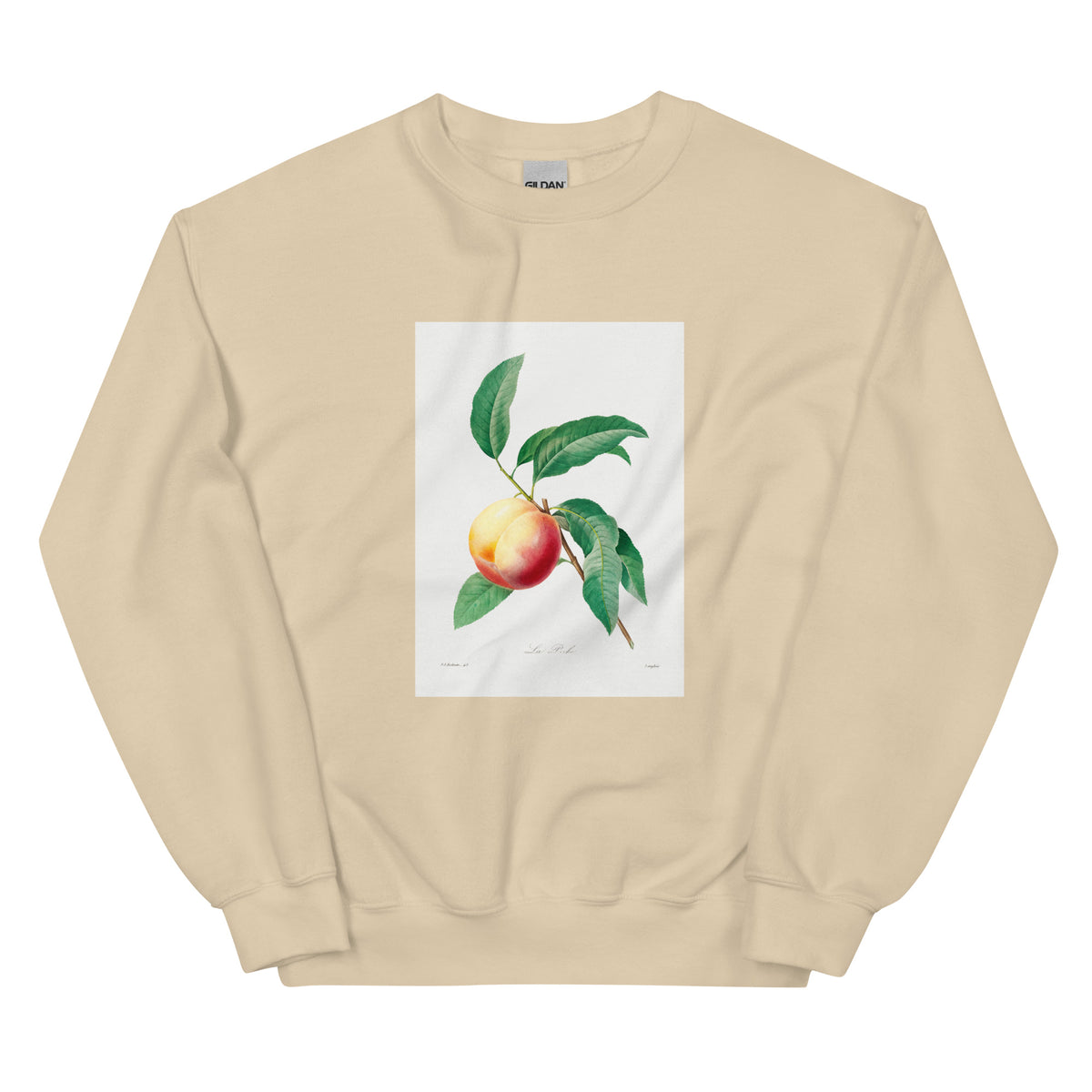 Sand Sweater Peach Fruit On A Branch - Pierre-Joseph Redoute 1759 Essential