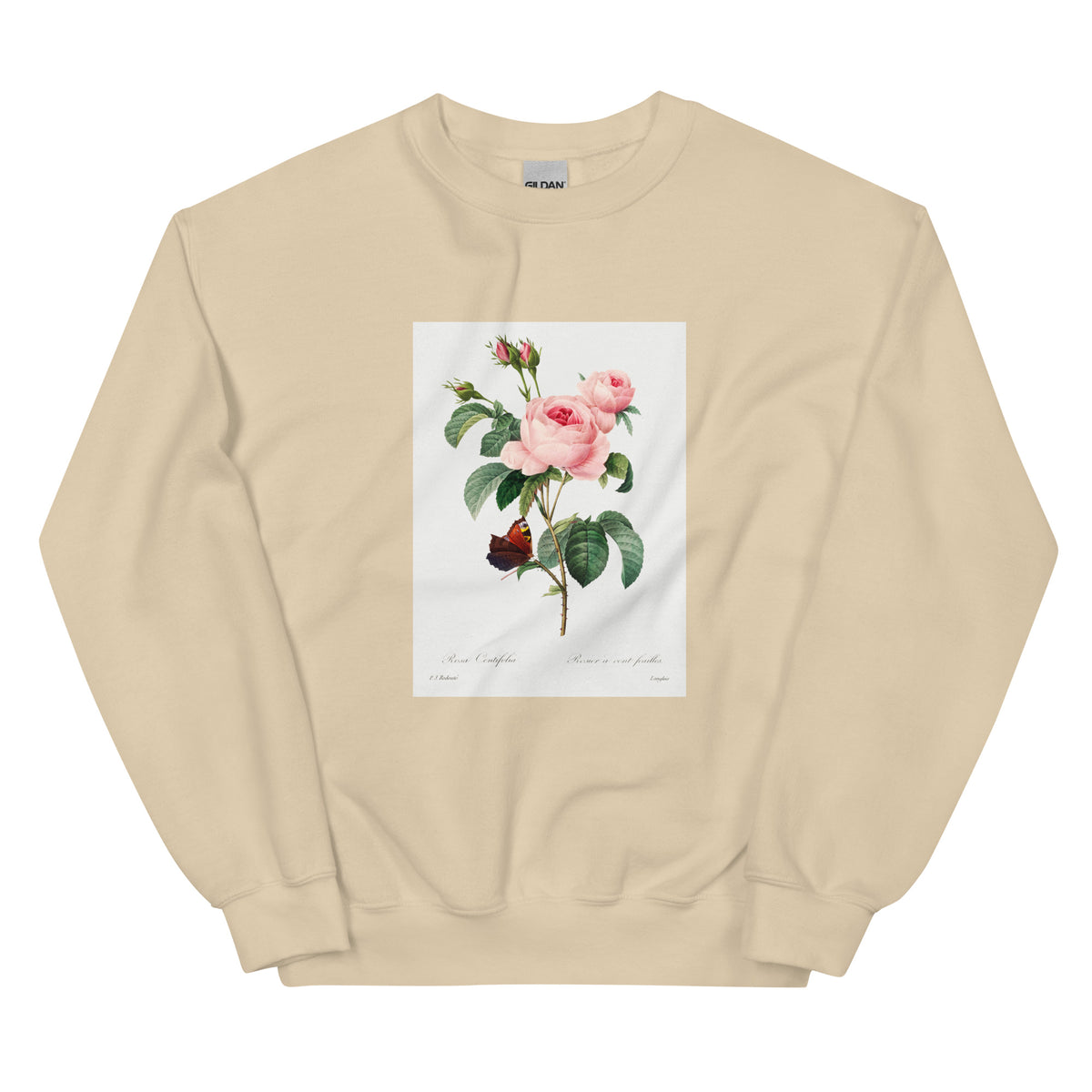 Sand Sweater Cabbage Rose - Pierre-Joseph Redoute 1759 Essential
