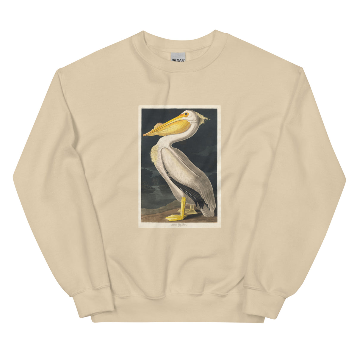 Sand Sweater American White Pelican Essential